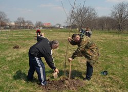 Загальноуніверситетські акції «Чисте довкілля» та «Посади дерево»